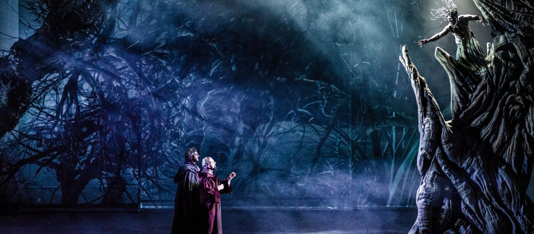 Pier delle Vigne - La Divina Commedia Opera Musical