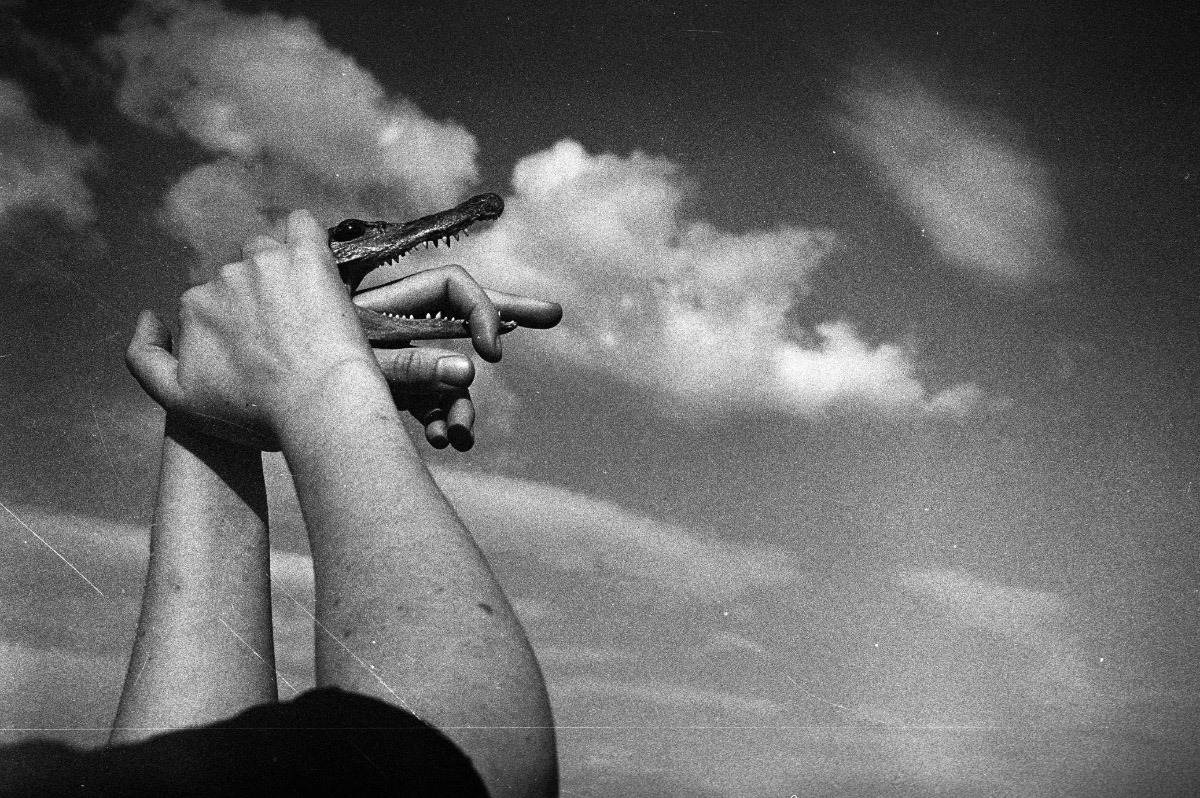 © Tomeu Coll, Badlands