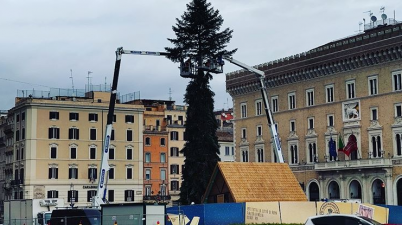 Spelacchio 2019, Piazza Venezia