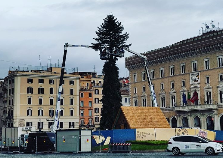 Spelacchio 2019, Piazza Venezia
