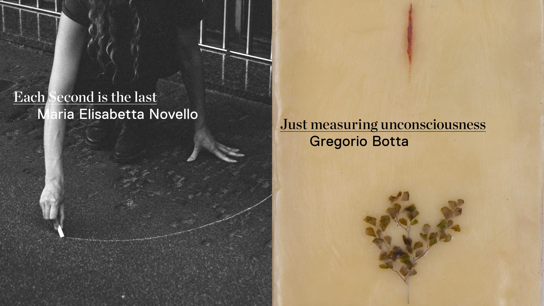 Gregorio Botta e Maria Elisabetta Novello