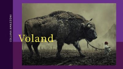 Il testamento dell'uro di Stéphanie Hochet
