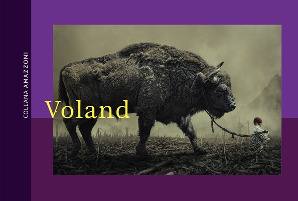 Il testamento dell'uro di Stéphanie Hochet