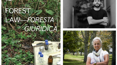 Foresta giuridica - Forest law