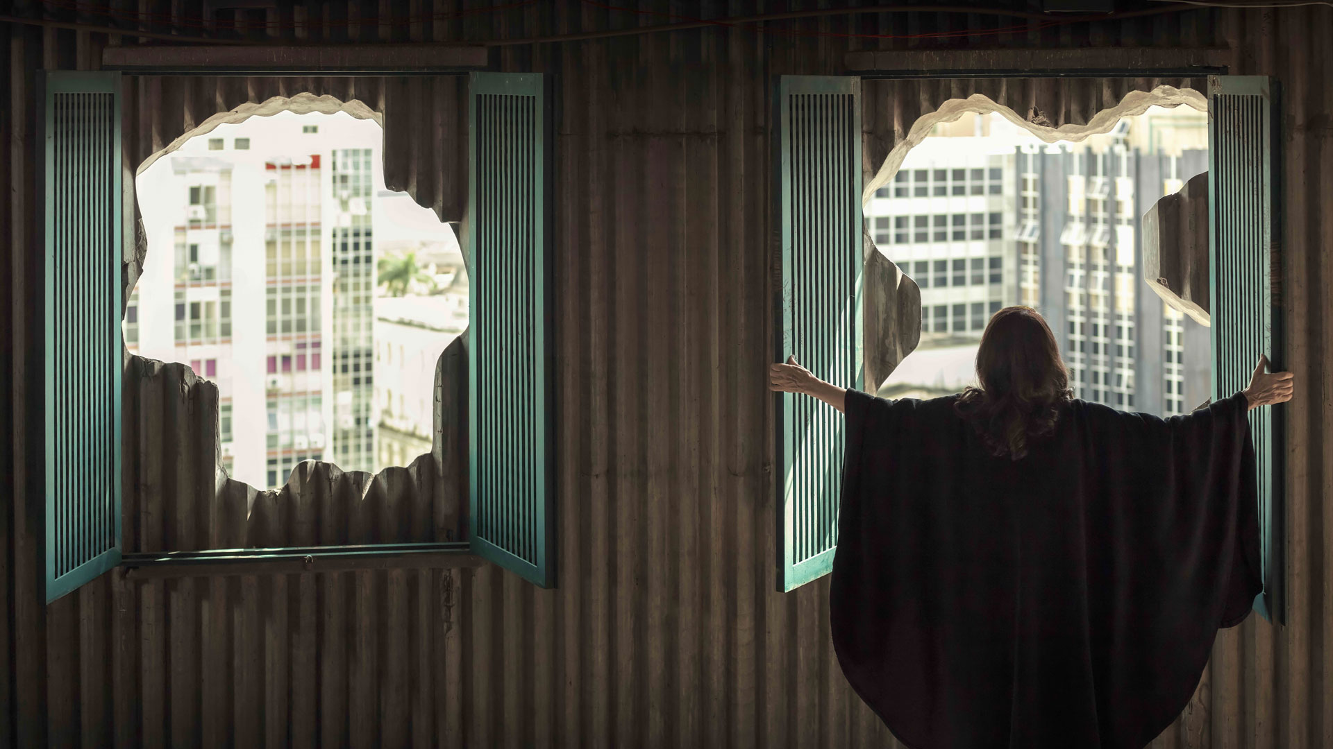 Isaac Julien Lina Bo Bardi