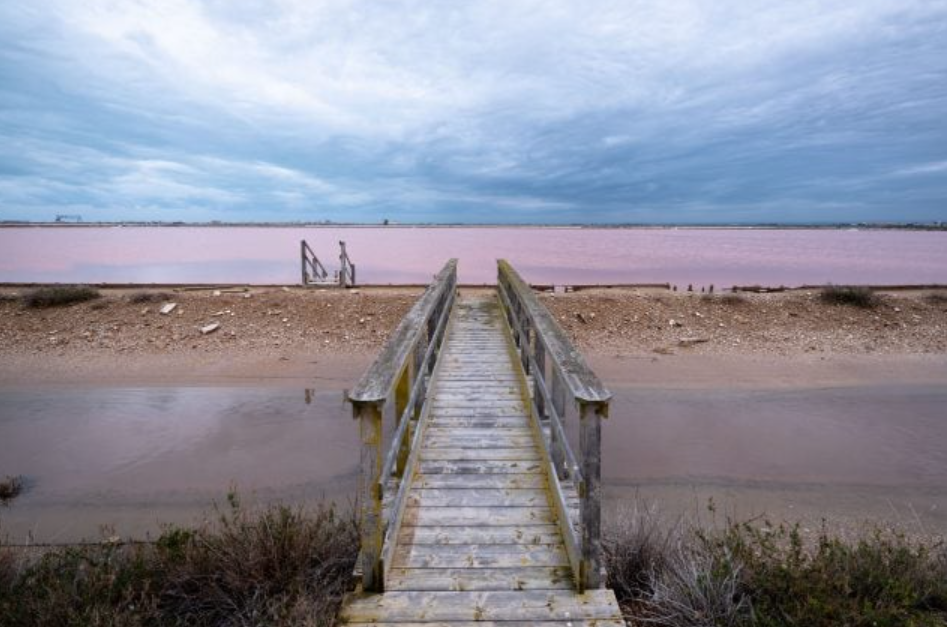 Circuiti, Luca Centola, Spazio Cerere