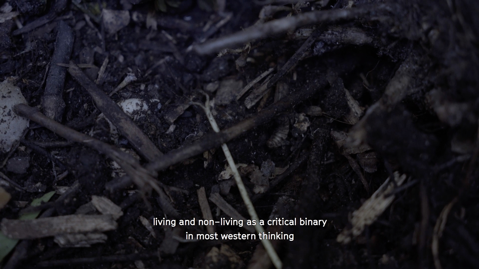 We hybrids!, all'Istituto Svizzero sei artisti si interrogano sul concetto di ibridismo