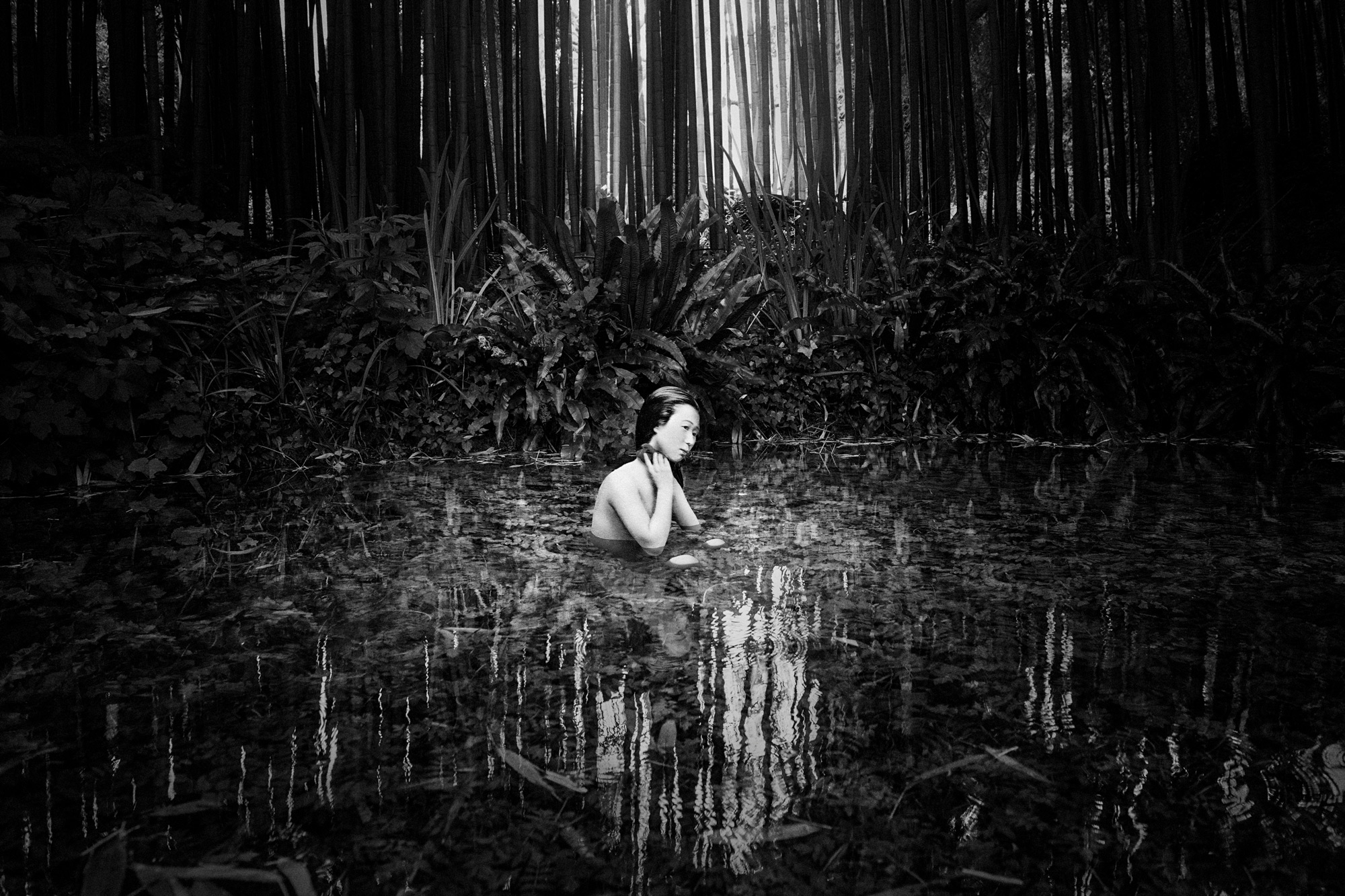 La luna e il bambù Olmo Amato