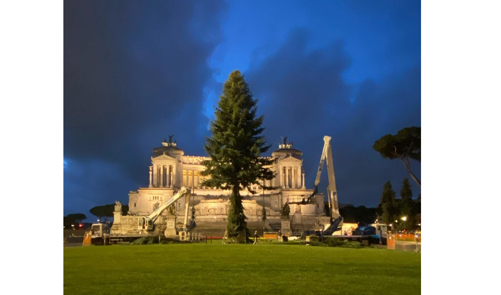 Spelacchio, albero di natale di Roma