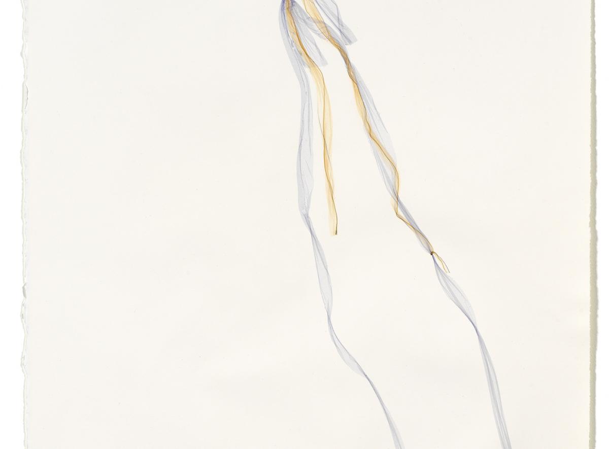 Nude, le opere di Beatrice Pediconi in mostra alla galleria z2o