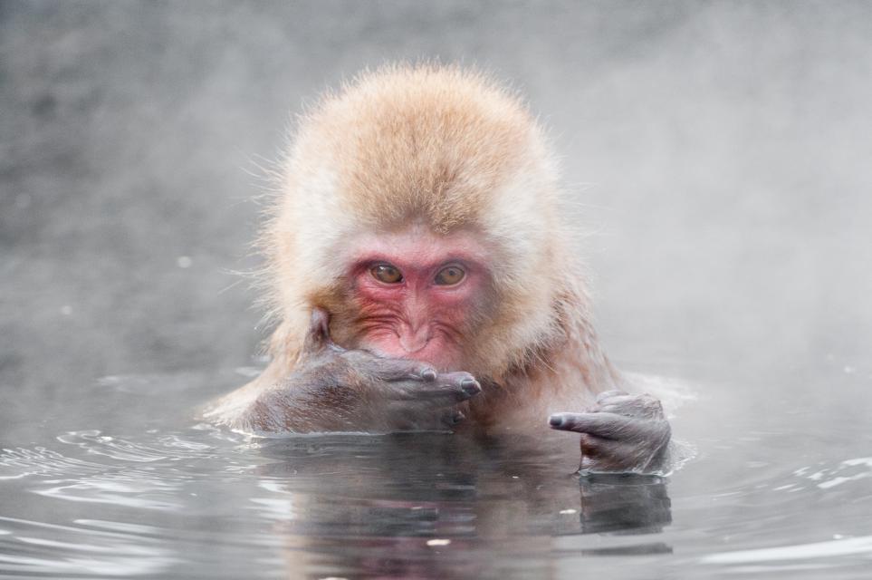 "Fragile - Handle with care", la bellezza della Natura, magica e delicata, nelle fotografie di Barbara Dall'Angelo