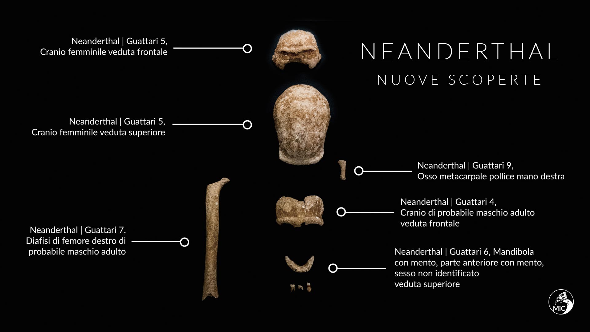 Neanderthal, nuovi reperti fossili dalla Grotta Guattari al Circeo