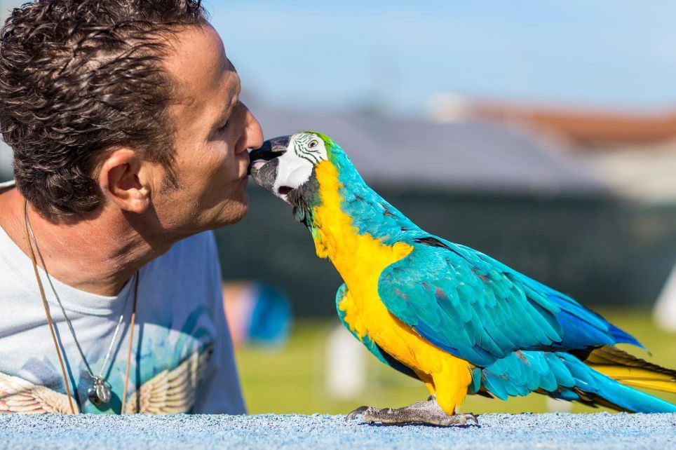 Pet Camper Tour, i tre appuntamenti del weekend nel Lazio