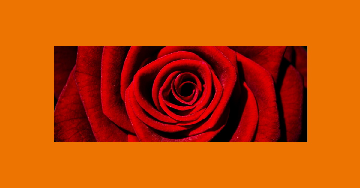 Donne perse (Phone), mostra e video contro la violenza sulle donne