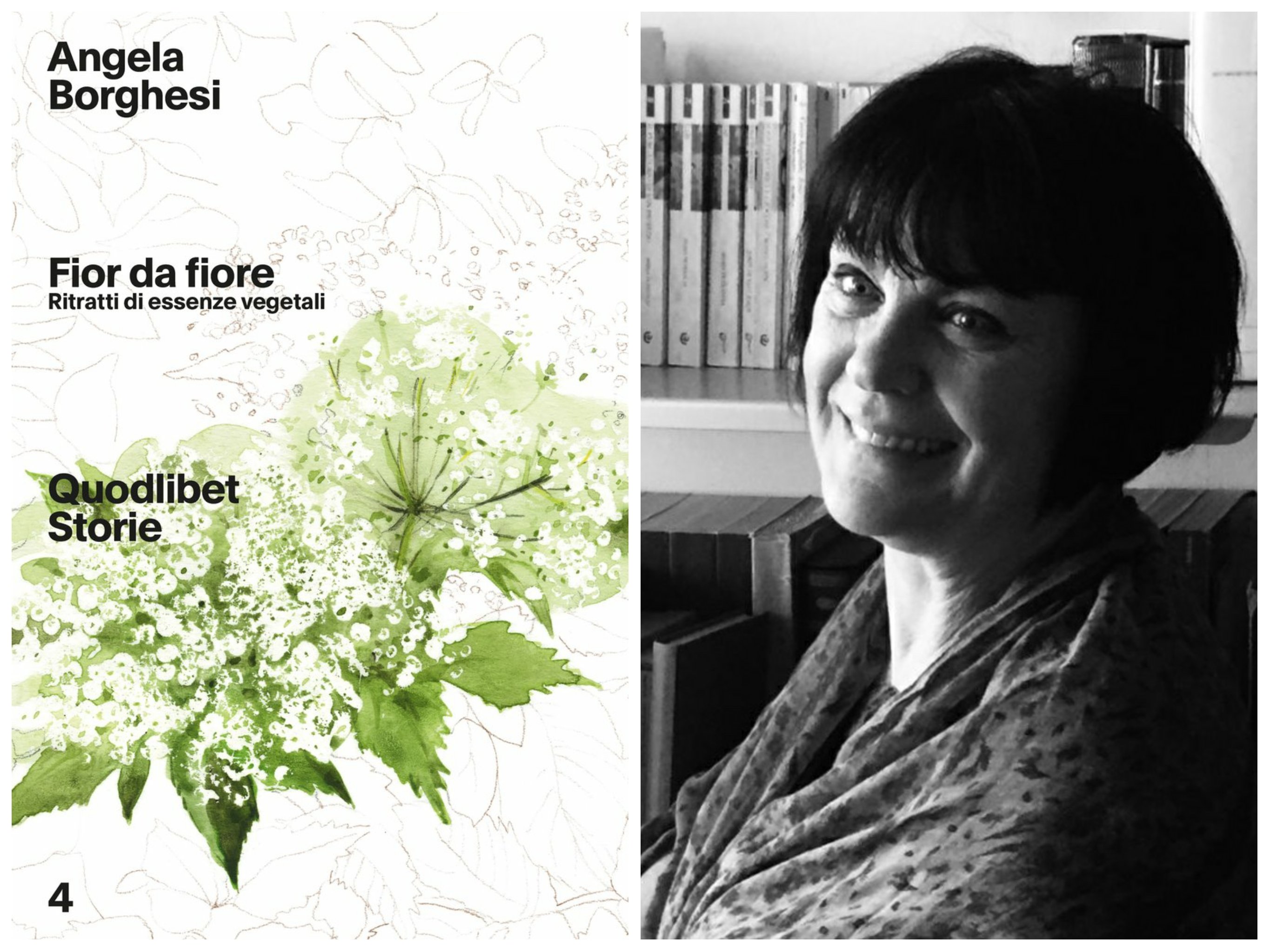 "Fior da fiore. Ritratti di essenze vegetali": il nuovo libro di Angela Borghesi
