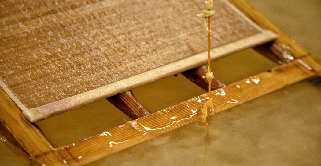 "Carta Coreana – Hanji", al Museo Carlo Bilotti l’arte contemporanea incontra un sapere antico