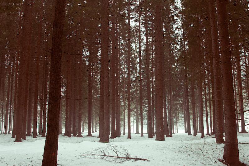 Kairos, la geografia delle piccole cose nelle opere di Sofia Podestà