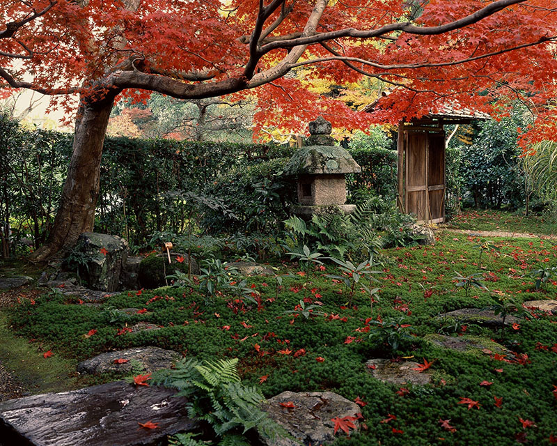 Giardini giapponesi, Kyoto e le quattro stagioni nelle fotografie di Mizuno Katsuhiko