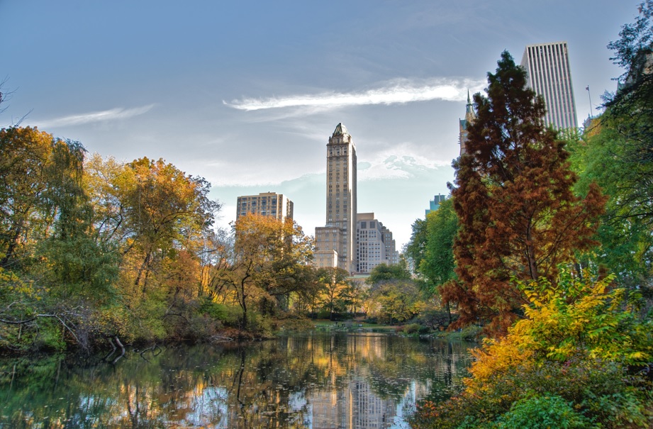 Central Park è il set cinematografico più usato al mondo