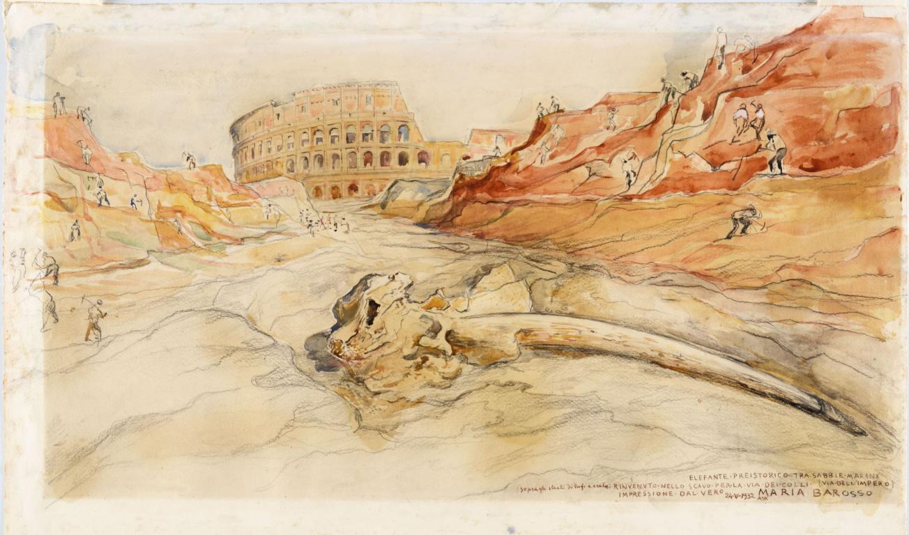 Ai Mercati di Traiano la storia della perduta Velia e del “suo” elefante