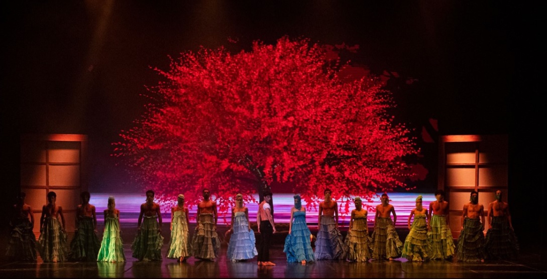 spettacolo dal vivo, teatro,