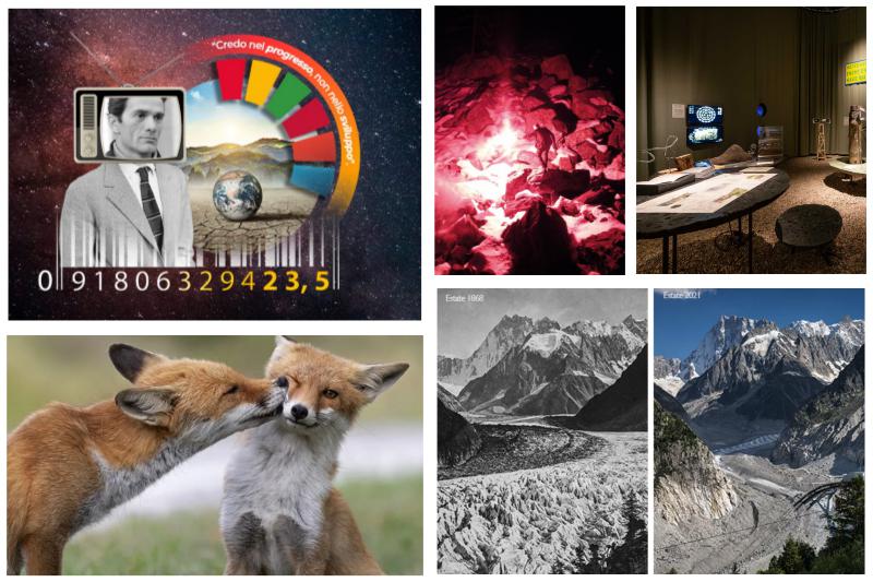 Da Contesteco a Have we met?, 5 mostre per educare al rispetto dell’ambiente