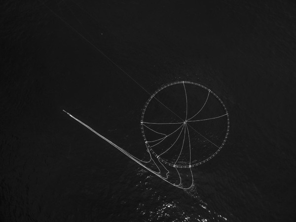 Galleria del Cembalo, in mostra il "mare omnis" di Francesco Zizola