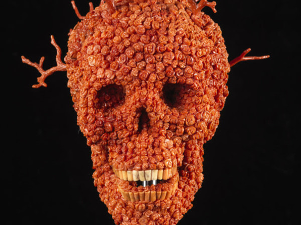 Allegory of Caritas, Jan Fabre in mostra tra sangue e coralli