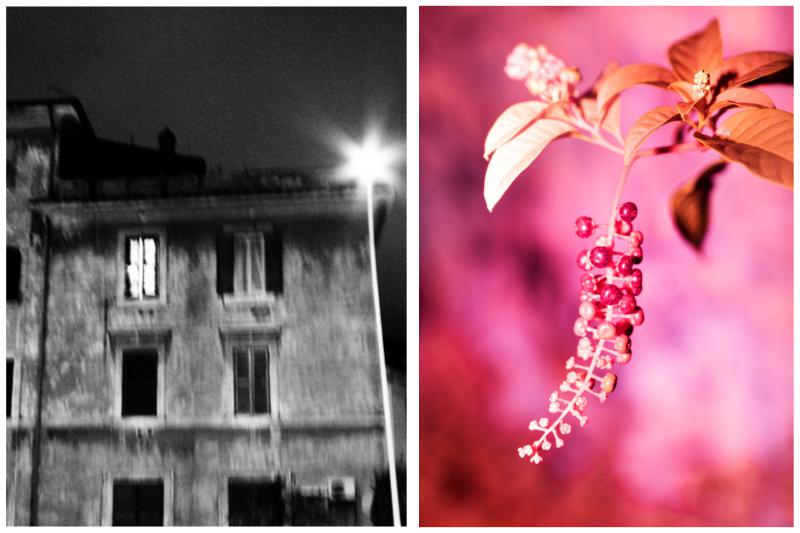 Garbatella Images, la trilogia si chiude con le opere di Angelo Raffaele Turetta e Sanne De Wilde