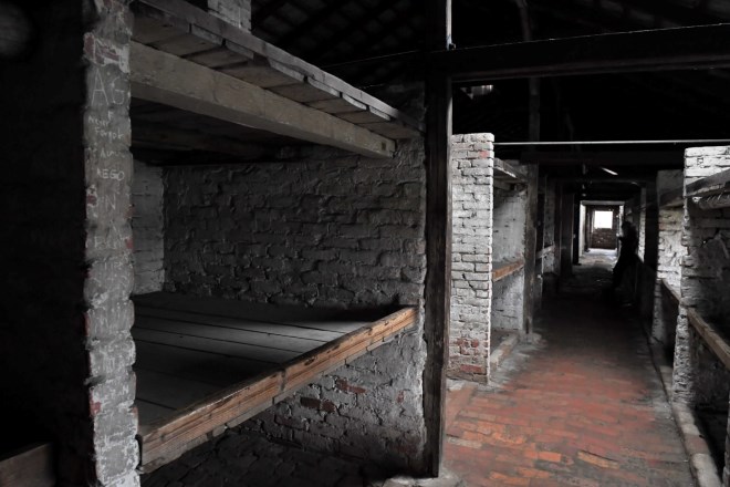 auschwitz Rastrellamento del Ghetto, il 16 ottobre a Roma la "Pedalata della memoria"