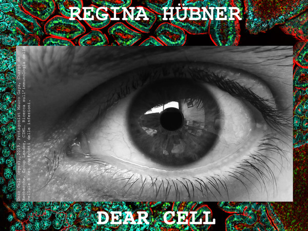 "Dear cell", la mostra di Regina Hübner al Forum Austriaco di Cultura