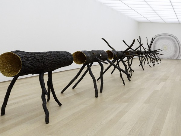 Galleria Borghese, in mostra i Gesti universali di Giuseppe Penone