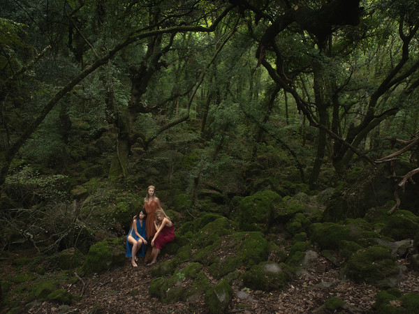 Ierogamia, il progetto fotografico di Angelo Cricchi al Visionarea ArtSpace di Roma