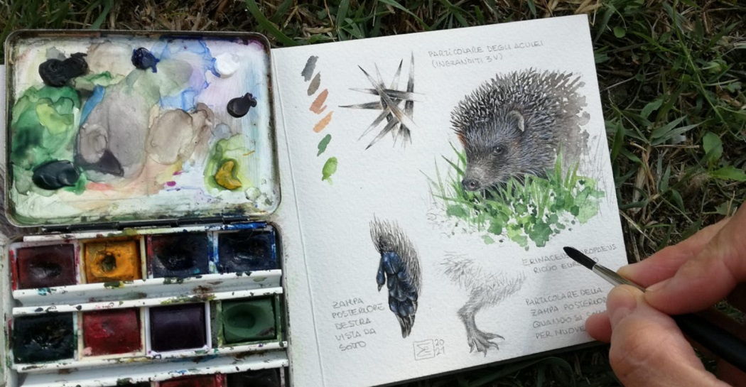 Erratico, 30 artisti italiani per un taccuino naturalistico itinerante alla Casina delle Civette di Roma