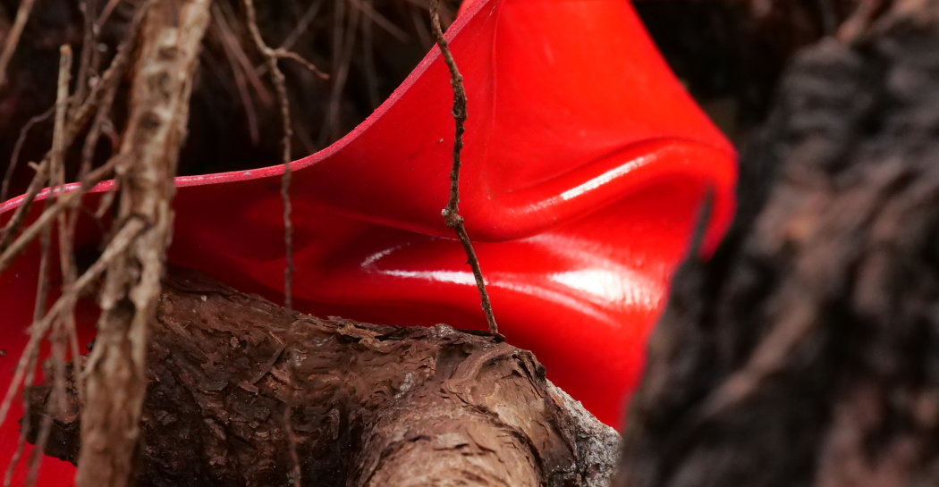 Tellurica, l'arte di Pino Genovese e Alberto Timossi alla Galleria d'Arte Moderna