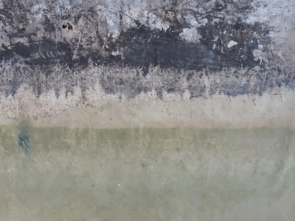 Thybris, il fiume eterno: le Naturografie di Roberto Ghezzi alla la Galleria Nazionale d’Arte Moderna e Contemporanea