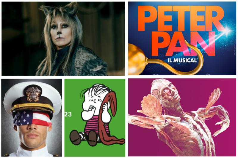 Da Cats a Linus, 5 appuntamenti tra mistero e fantasia