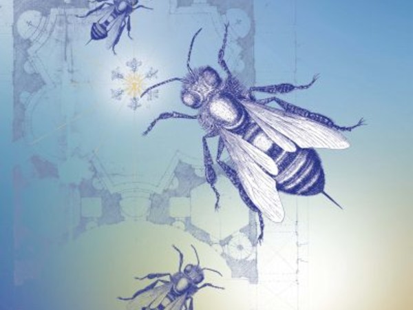 La Città del Sole, arte e scienza nella Roma di Urbano VIII a Palazzo Barberini