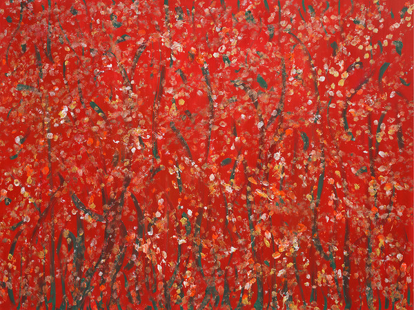 Dream Prints, Emanuele Antonelli ai Musei di San Salvatore in Lauro