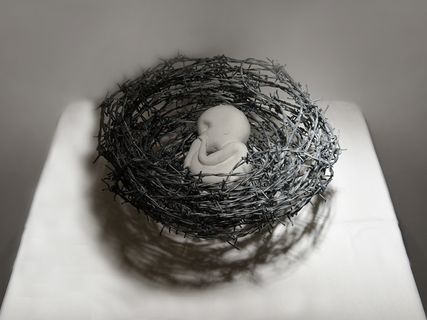 La crociata dei bambini, una mostra per la pace con le opere di 36 artisti