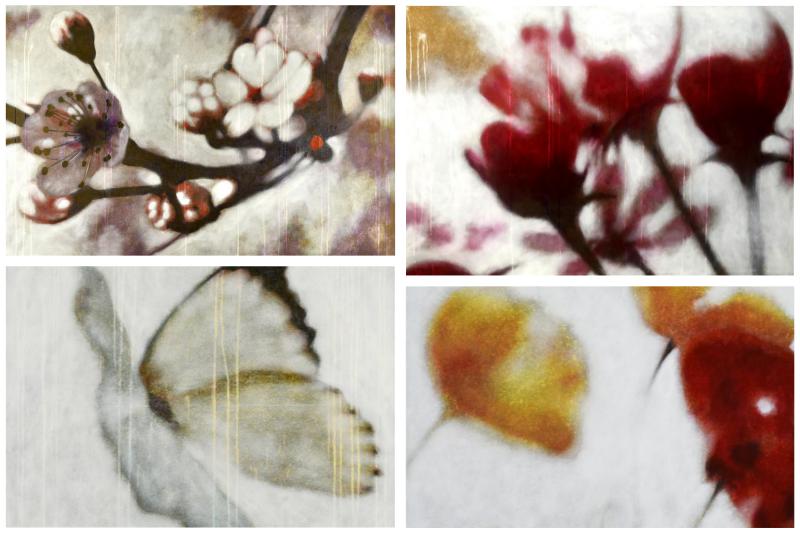 I "fiori randagi" di Massimo Barlettani in mostra alla Galleria SpazioCima di Roma