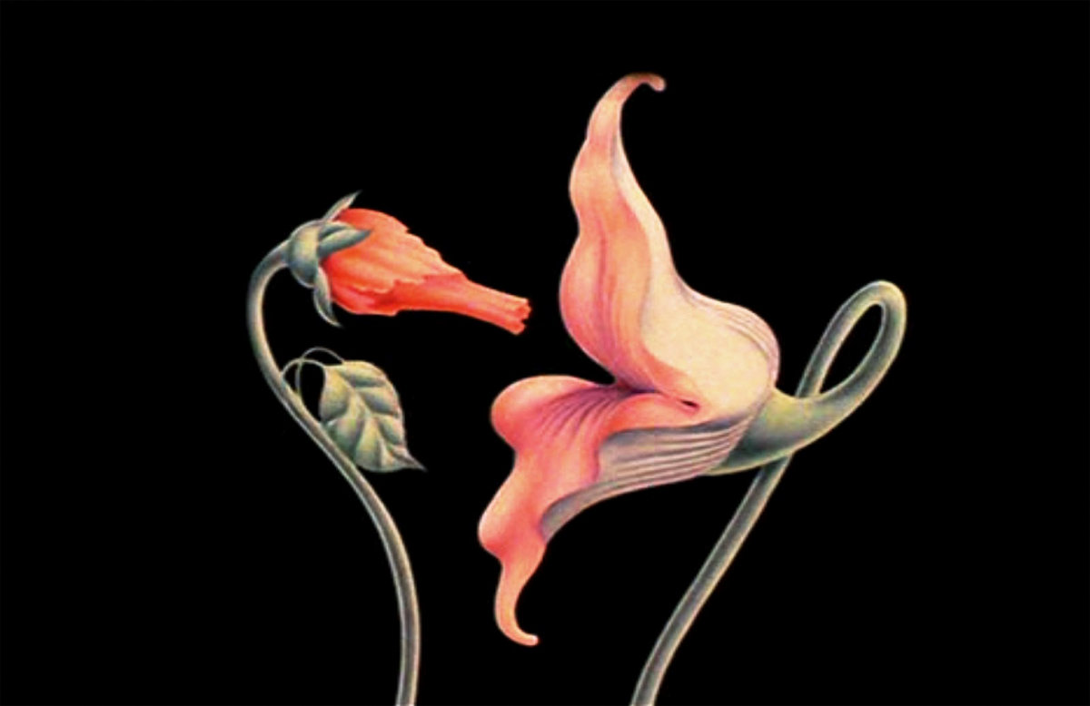 Pink Floyd, il mistero del messaggio nascosto nel brano Empty Spaces