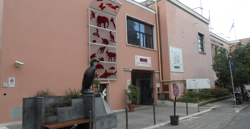 "Oltre lo spazio, oltre il tempo", il sogno di Ulisse Aldrovandi al Museo Civico di Zoologia
