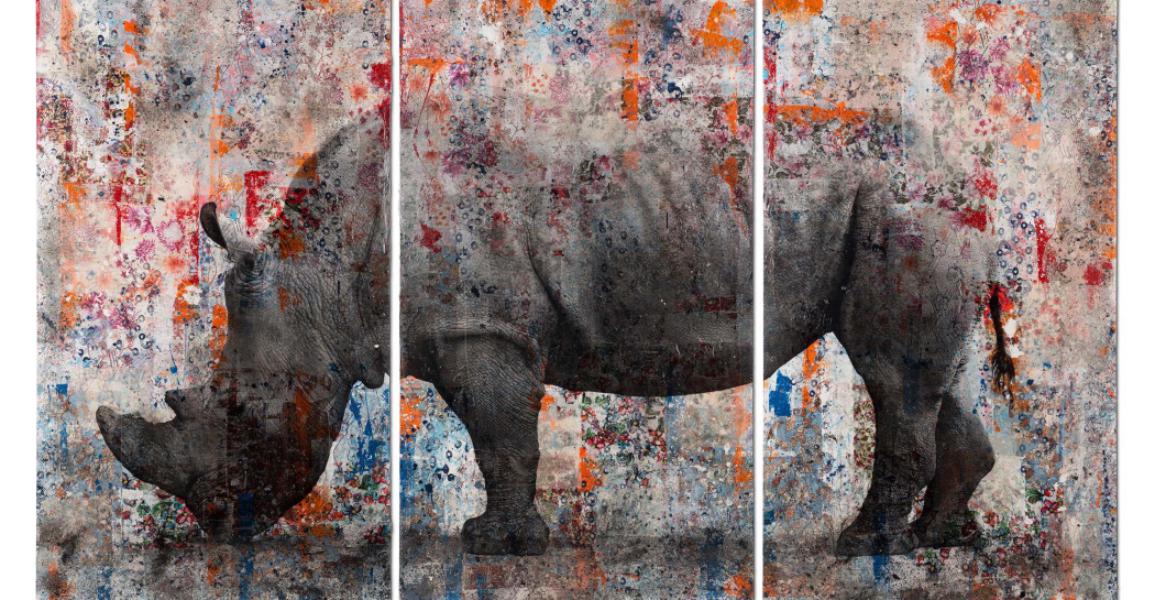 Uno a uno, il bestiario di Manuel Felisi al Museo Carlo Bilotti di Roma