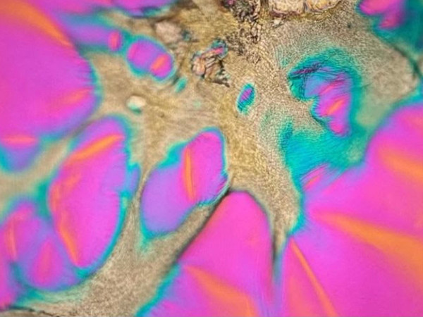 Too far for light to travel, la nuova mostra personale di Valerio D'Angelo