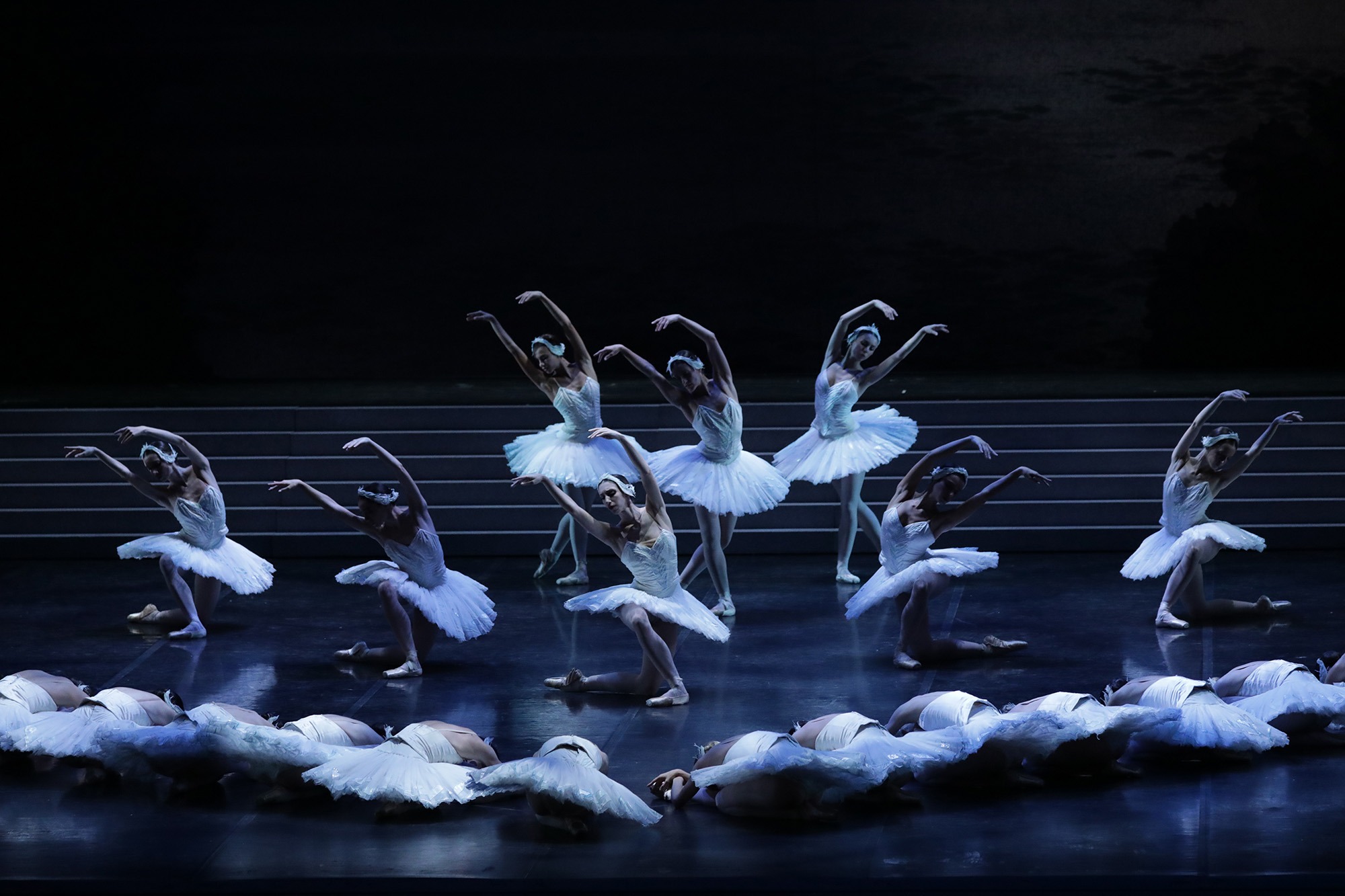 Il Lago dei Cigni, storia e curiosità sul capolavoro di Pëtr Il'ič Čajkovskij