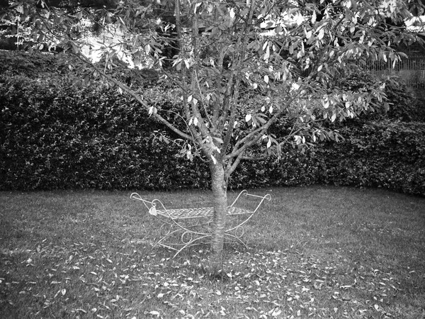 Guiltless, la personale di Tarin al Cluster Contemporary