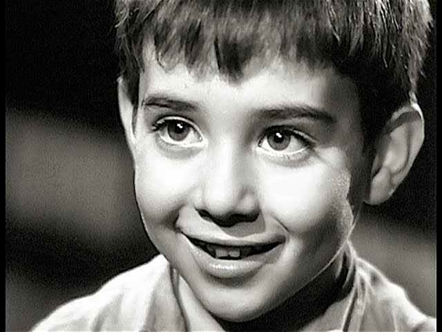 "Marcellino pane e vino": il film che ha commosso il mondo compie 70 anni