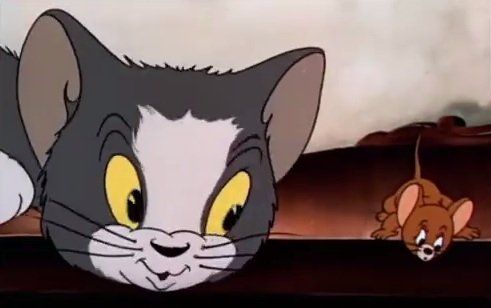 Tom & Jerry: 85 anni di risate e inseguimenti senza tempo