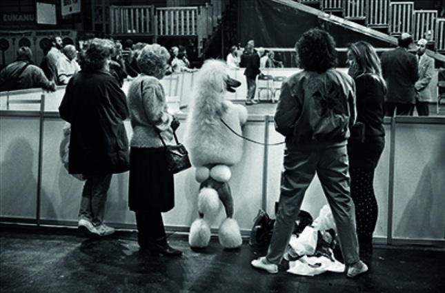 Elliott Erwitt a Palazzo Bonaparte: l'arte di raccontare il mondo con leggerezza e ironia